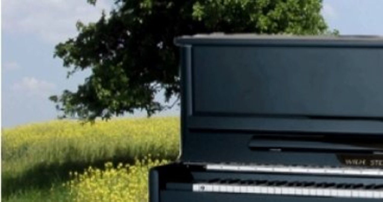 Lohner Unternehmen ist aktiver Klimaschützer Image 1