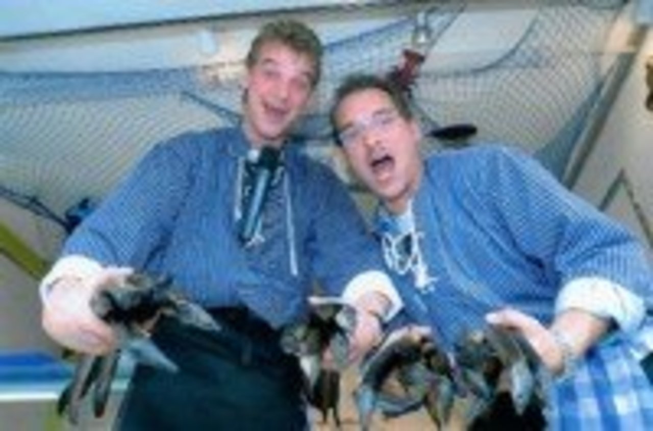 1. Lohner Ostfriesenmarkt Image 1